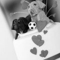 Hanna-0699
